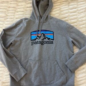 Patagonia Gray Hoodie with Logo Design